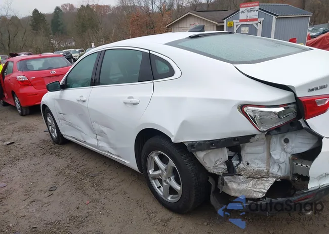 1G1ZB5ST4HF261879: 43728676