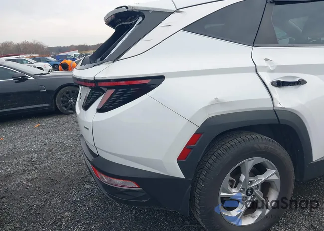 5NMJBCAE0NH034795: 43730105