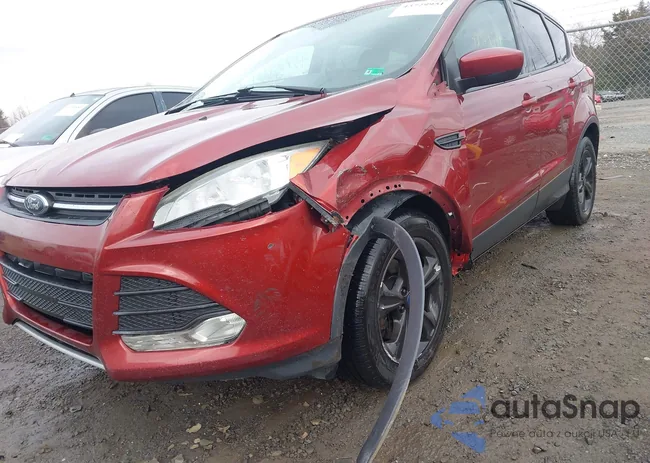 1FMCU9GX8FUB01566: 43729951