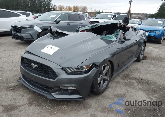 1FA6P8TH6G5284503: 43731166