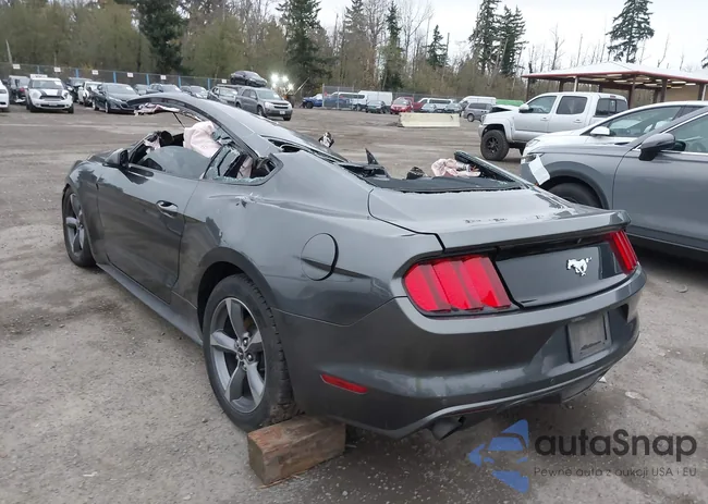 1FA6P8TH6G5284503: 43731166