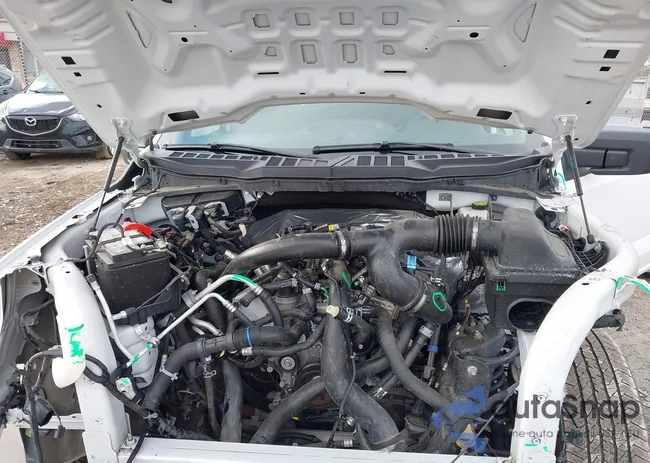 1FTEW2LP9RKD06575: 43731315