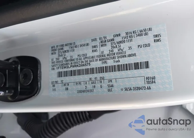 1FTEW2LP9RKD06575: 43731315