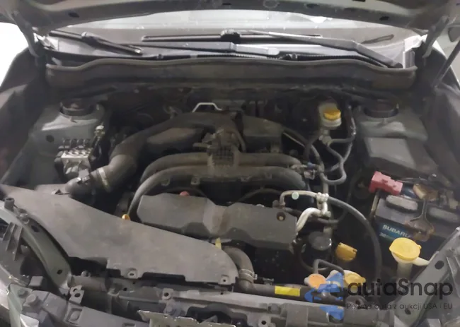 JF2SJAJCXHH492877: 43731489