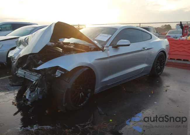 1FA6P8AM9G5218950: 43731531