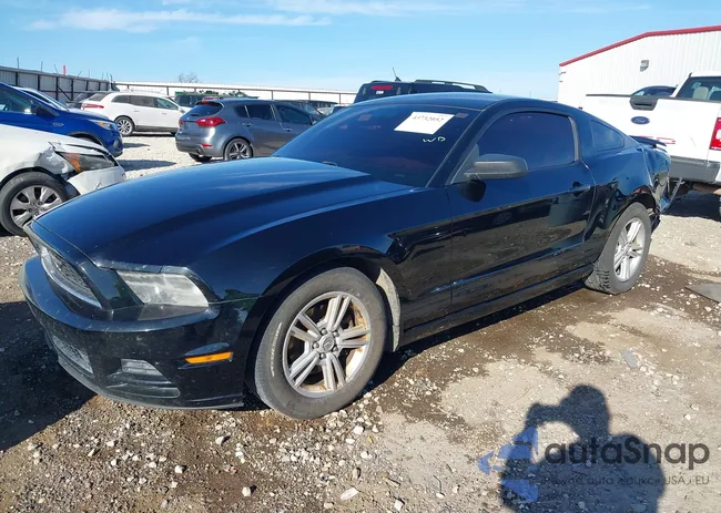 1ZVBP8AM3D5226530: 43732052