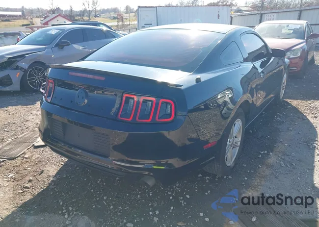 1ZVBP8AM3D5226530: 43732052