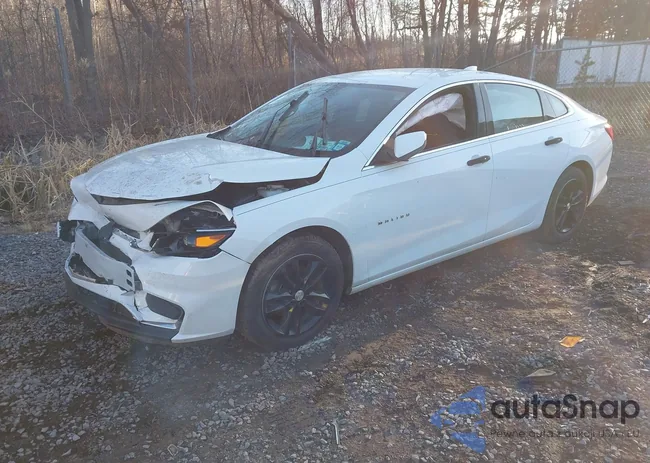 1G1ZE5ST2HF121191: 43732302