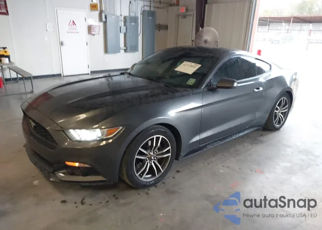 1FA6P8TH0H5310434: 43733053