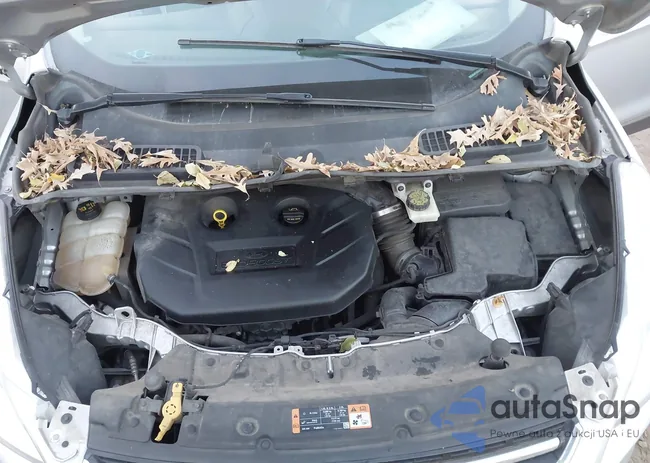 1FMCU9J97EUC60006: 43733143