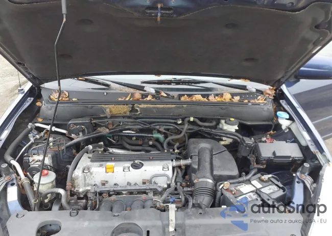 SHSRD78875U308055: 43733669