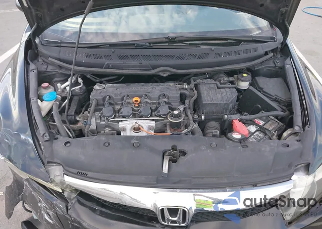 19XFA1F5XBE043271: 43735028