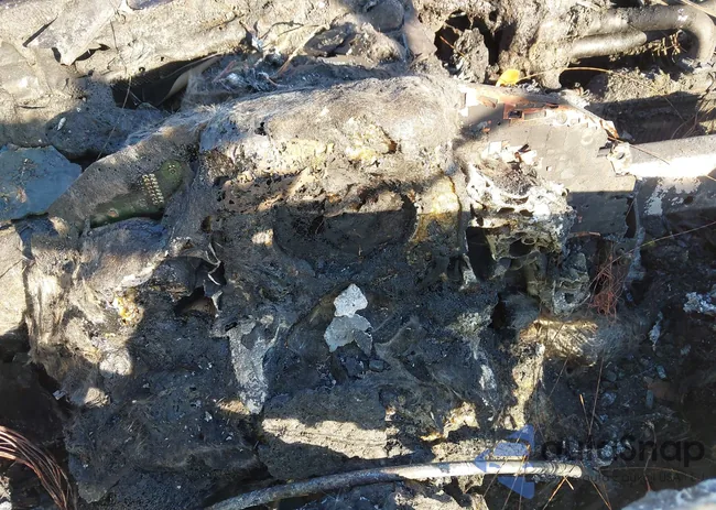 WDDKK5KF6DF191143: 43736285