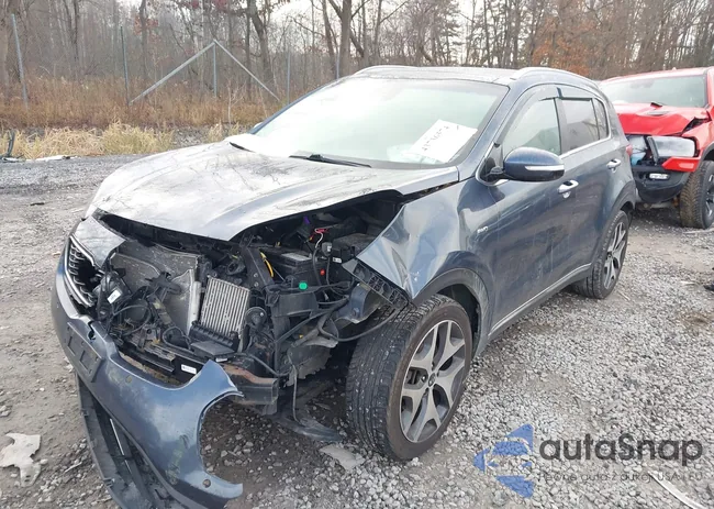 KNDPRCA64H7184824: 43736574