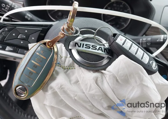 1N4BL4FW7KC196061: 43735717