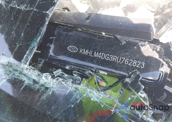 KMHLM4DG3RU762823: 43737124