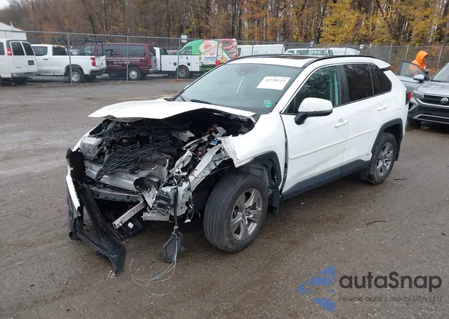 4T3RWRFV1PU101843: 43738113