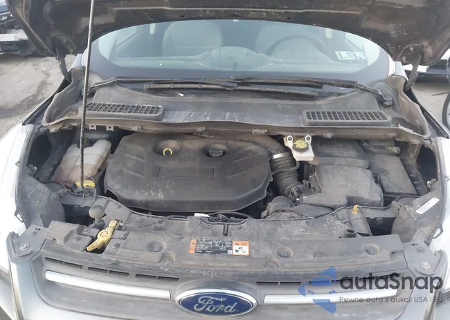 1FMCU9G98FUB67844: 43738251