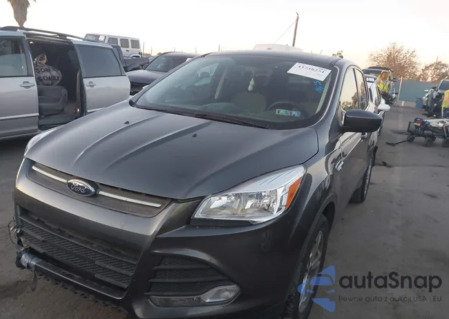 1FMCU9G98FUB67844: 43738251