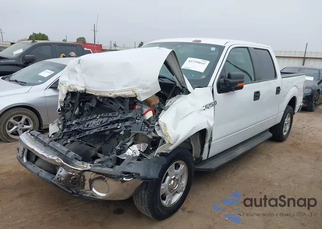 1FTEW1CM5BKD28207: 43739049