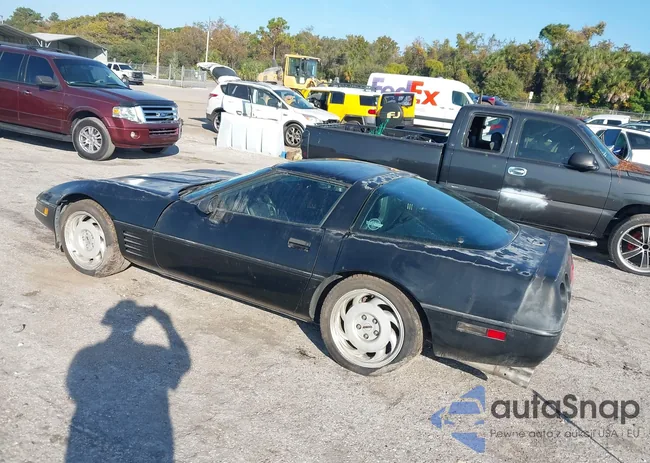 1G1YY2382M5103110: 43739353