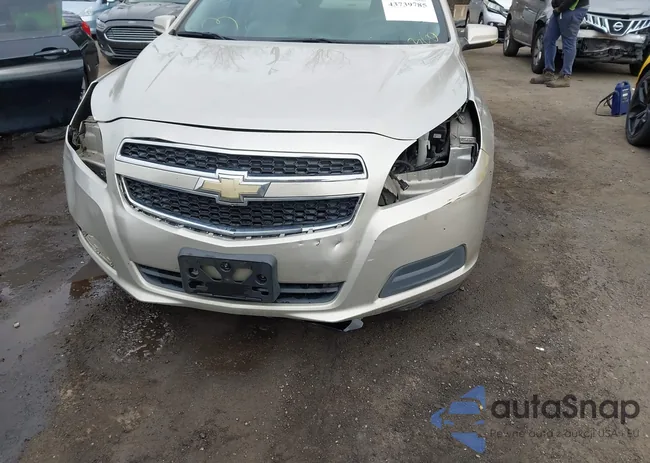 1G11C5SA4DF183770: 43739785