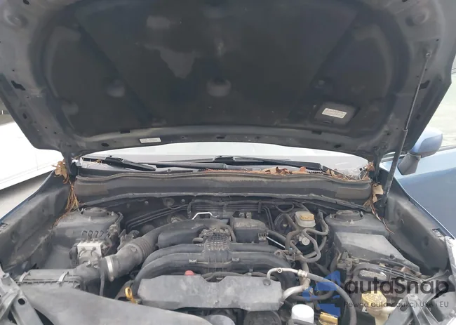 JF2SJADC5FH813376: 43741339