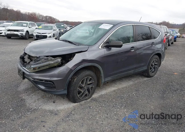 5J6RM4H43GL037136: 43742193