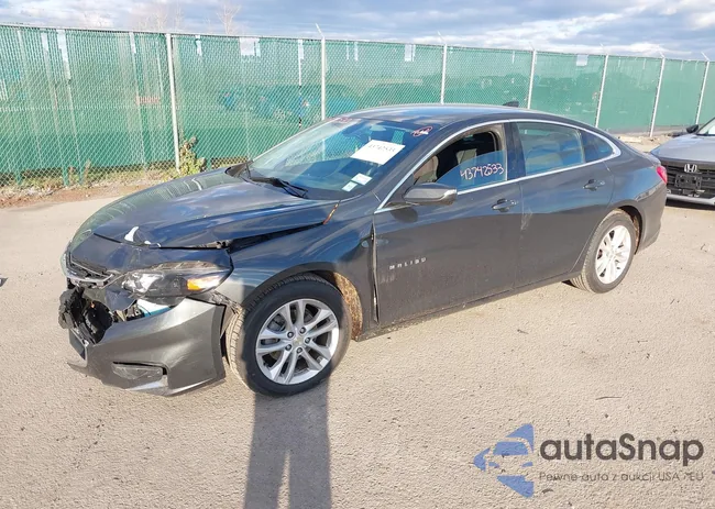 1G1ZD5ST6JF219939: 43742533