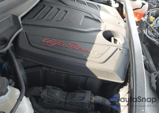 ZASFAKAN0J7B83283: 43743394