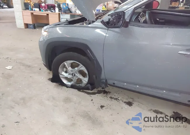 5NMJBCDE2RH403061: 43743473