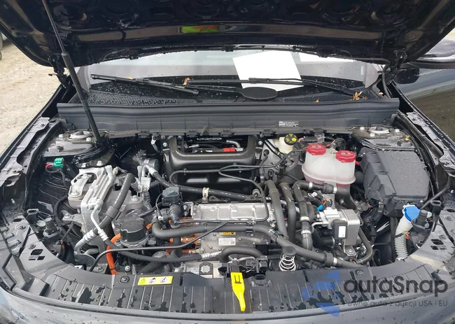 W1N9M1DB4PN057238: 43744230