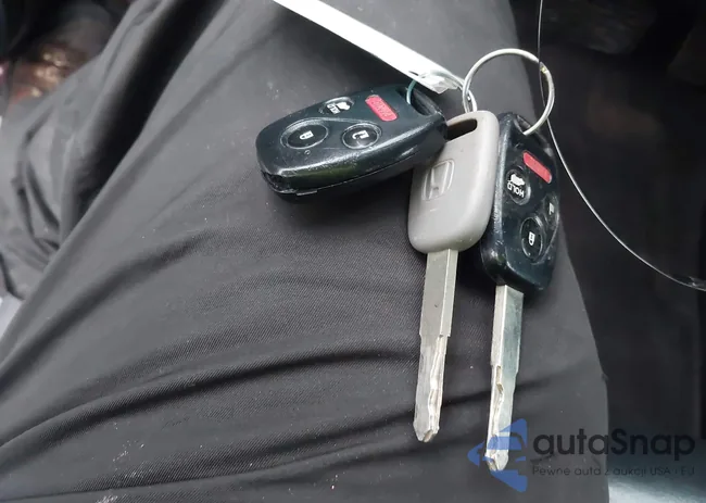 5FNYF4H53DB006181: 43744302