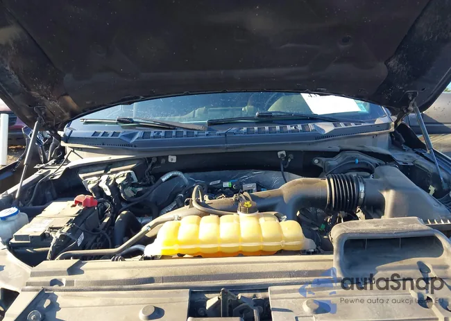 1FTEW1EP2KFB56055: 43743804