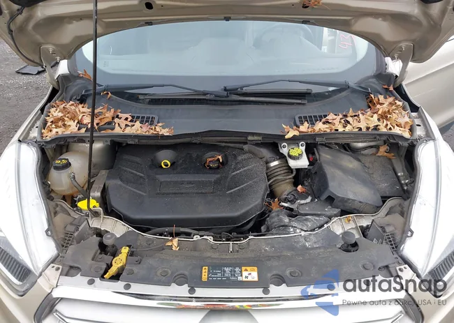 1FMCU9J97JUD48645: 43745040