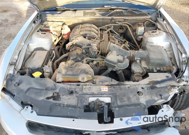 1ZVBP8AM8C5264950: 43745068