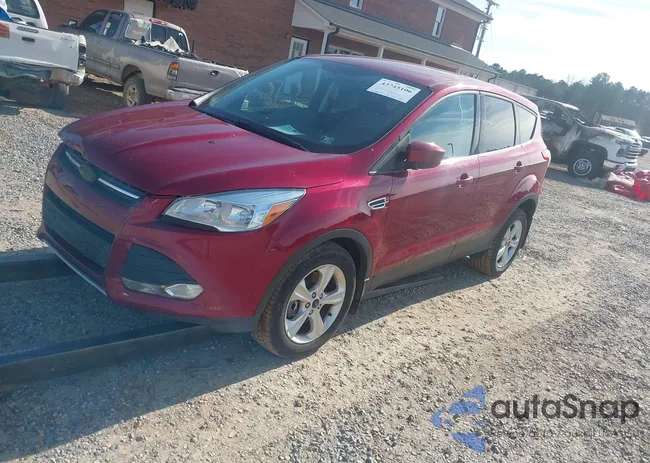 1FMCU9G90EUA03504: 43745106