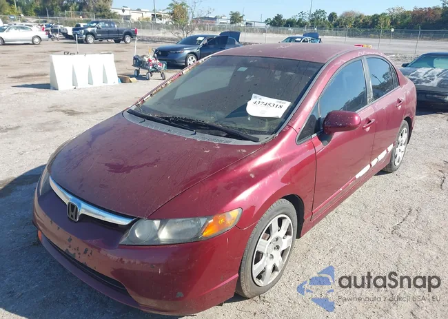 2HGFA16558H532790: 43745318