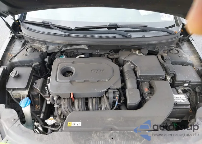 5NPE34AF9HH460439: 43745393