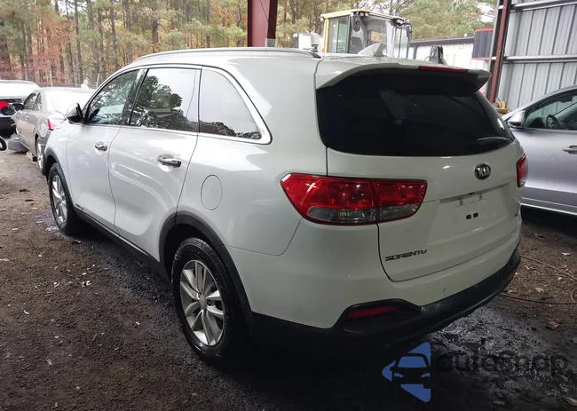 5XYPGDA52HG287536: 43745493