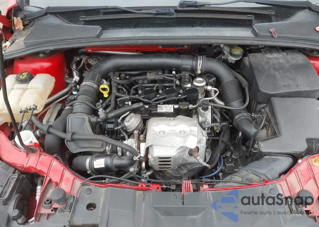 1FADP3FE6GL360342: 43745530