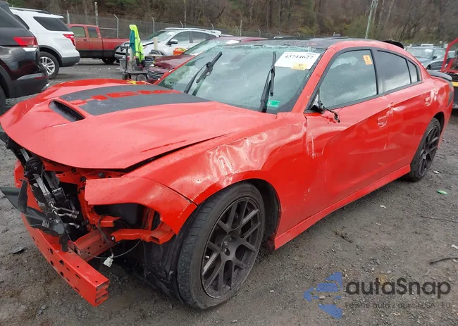 2C3CDXCT4KH541894: 43744627