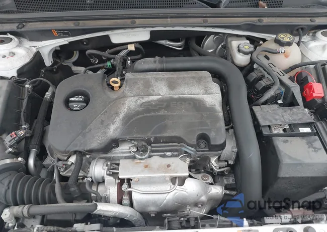 1G1ZD5ST8JF109717: 43744853