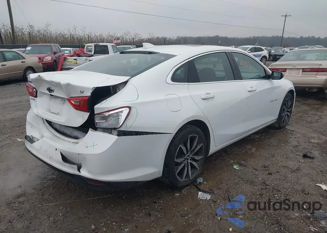 1G1ZD5ST8JF109717: 43744853