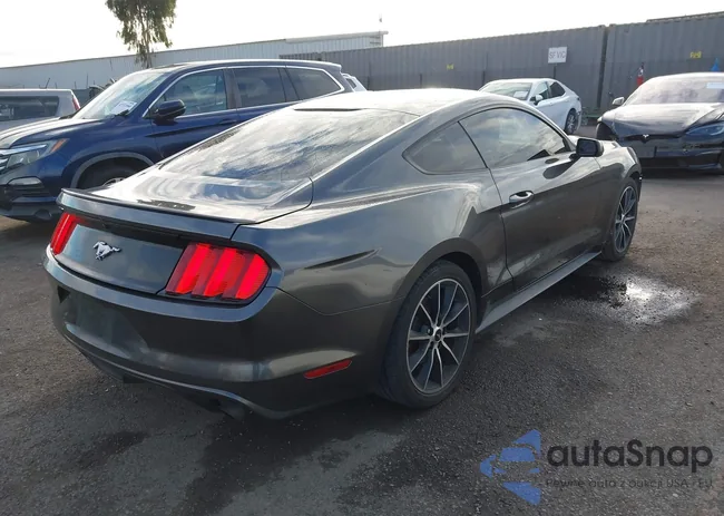 1FA6P8TH4F5396389: 43744946