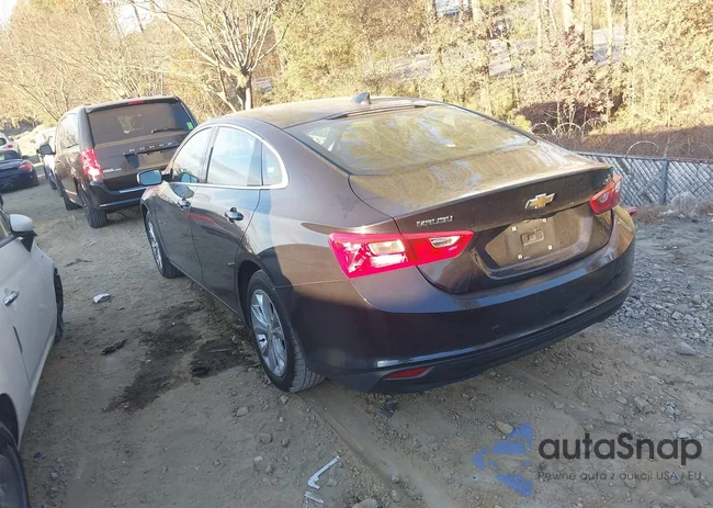 1G1ZD5ST8PF232104: 43744952