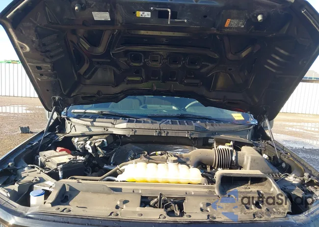 1FTEW2KP4RKD02466: 43746094