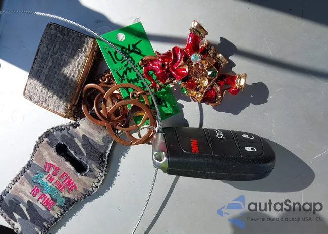 2C3CDZAG6PH574419: 43745669