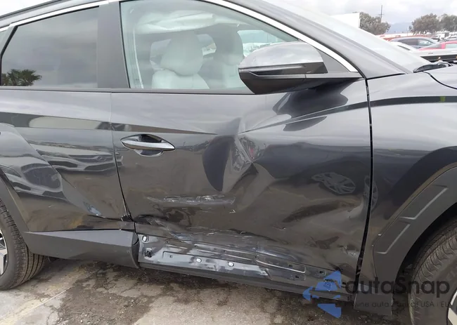 5NMJFCAE6PH267233: 43745729