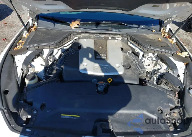 JN1BV7ARXFM392604: 43745751